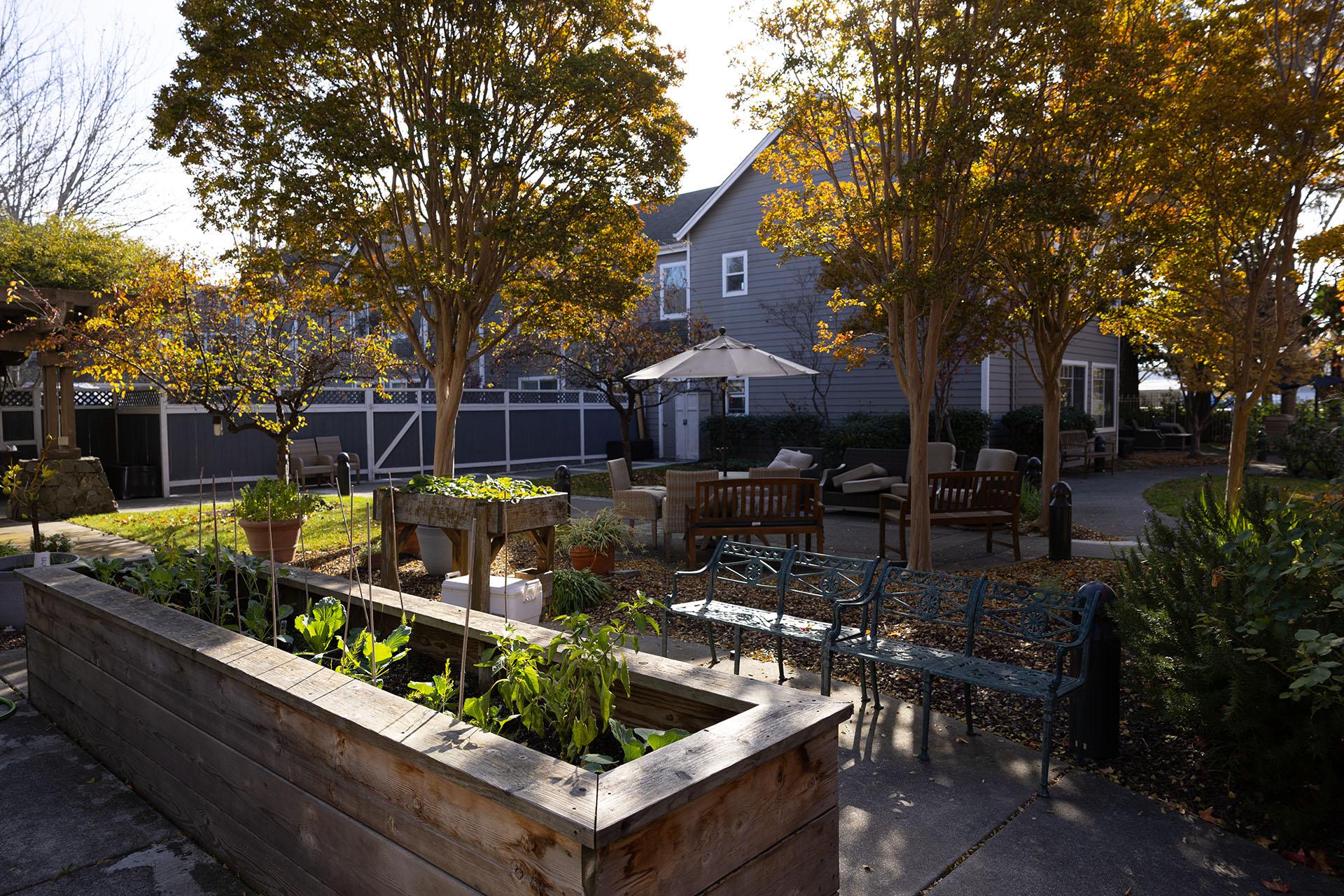 The Garden at Windsong